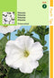 2 stuks - Hortitops - Petunia Hybr.Nana Comp. Sneeuwbal