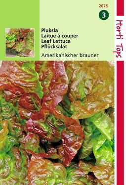 2 stuks Hortitops Pluksla Amerikaanse Roodrand