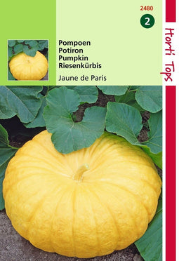 2 stuks Hortitops Pompoenen Geelvlezige Centenaars