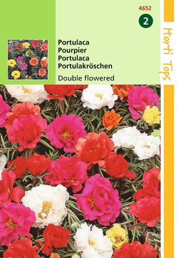 2 stuks - Hortitops - Portulaca Grd.Fl. Dubbelbloemig Gemengd