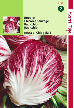 2 stuks - Hortitops - Radicchio Rosso Di Chioggia Palla Rossa 4