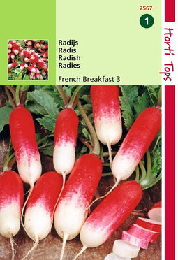 2 stuks Hortitops Radijs Halflange Rode Groot Witpunt