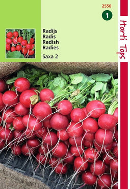 2 stuks Hortitops Radijs Saxa 2