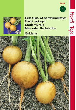 2 stuks - Hortitops - Rapen Goldana Goudbal Kortlof