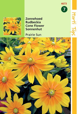 2 stuks - Hortitops - Rudbeckia Hirta Prairie Sun