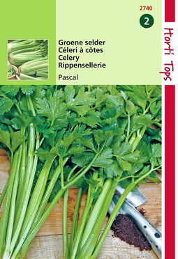 2 stuks Hortitops Selder Pascal, Groene Volpijp
