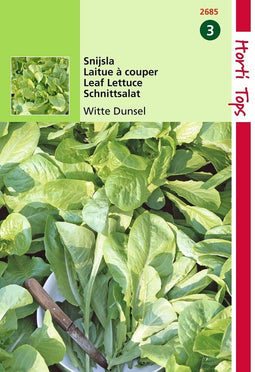 2 stuks Hortitops Snijsla Witte Dunsel