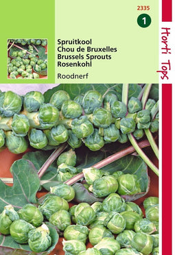 2 stuks Hortitops Spruitkool Roodnerf