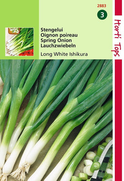 2 stuks - Hortitops - Stengel Ui Ishikura Allium Fistulosum
