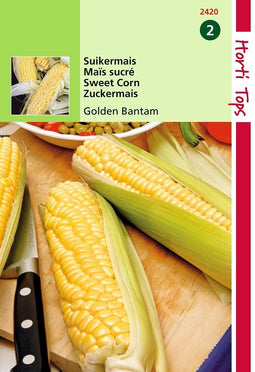 2 stuks Hortitops Suikermais Golden Bantam