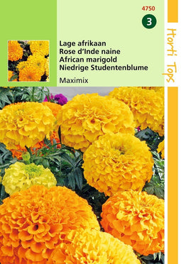 2 stuks - Hortitops - Tagetes Erecta Nana Maximix Mengsel