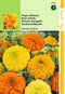 2 stuks - Hortitops - Tagetes Erecta Sunset Giants Gem.