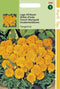 2 stuks - Hortitops - Tagetes Patula Nana Tangerine