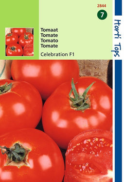 2 stuks - Hortitops - Tomaten Luxor Celebrity F1 Hybride
