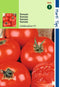2 stuks - Hortitops - Tomaten Luxor Celebrity F1 Hybride