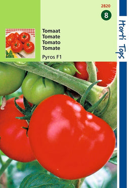 2 stuks - Hortitops - Tomaten Pyros F1