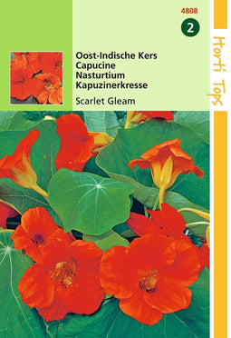 2 stuks - Hortitops - Tropaeolum Scarlet Gleam Rood