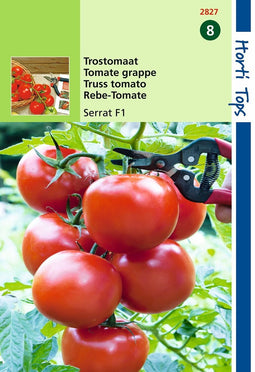 2 stuks Hortitops Trostomaten Serrat (vh Philippos) F1 130 160 Gr. Vrucht