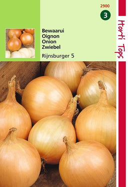 2 stuks Hortitops Uien Rijnsburger, Bolronde Gele