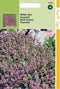 2 stuks Hortitops Wilde Tijm (Thymus Serpyllum)