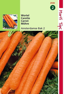 2 stuks Hortitops Wortelen Amsterdamse Bak 2