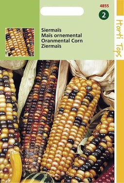 2 stuks HT Zea mays, Siermais Little Jewels