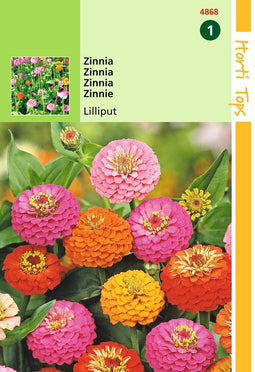 2 stuks HT Zinnia Liliput gemengd