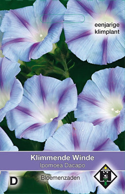 2 stuks Ipomoea purpurea DacapoVan Hemert & Co