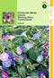 2 stuks Ipomoea Purpurea Gemengd
