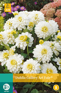 2 stuks - Jub - Dahlia Gallery Art Fair 1 bol