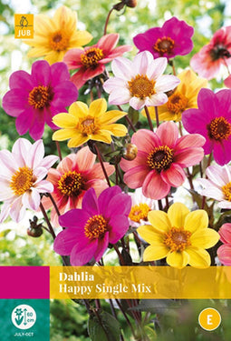 2 stuks - Jub - Dahlia Happy Single Mix 2 bollen