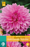 2 stuks - Jub - Dahlia Lavender Perfection 1 bol