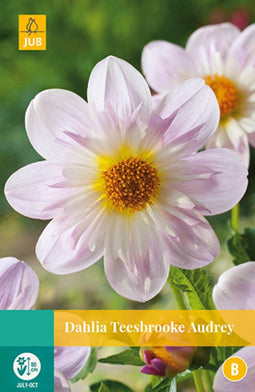 2 stuks - Jub - Dahlia Teesbrooke Audrey 1 bol