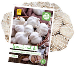 2 stuks - Jub - Gr. Knoflook Casablanca