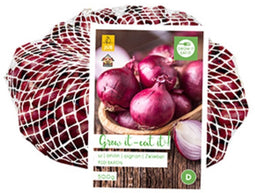 2 stuks - Jub - Gr. Plantuien Red Baron