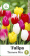 2 stuks - JUB - Tulipa Triumph mix 40 bollen