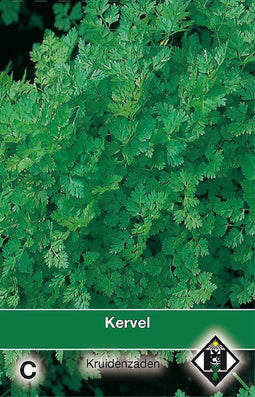 2 stuks Kervel AnthriscusVan Hemert & Co