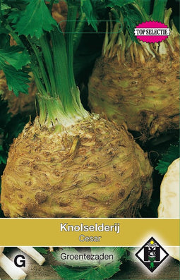 2 stuks Knolselderij CesarVan Hemert & Co