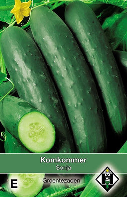 2 stuks Komkommer, Cucumis sativus Sonja Van Hemert & Co