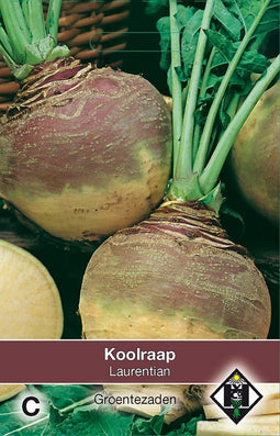 2 stuks Koolrapen LaurentianVan Hemert & Co