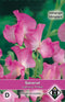2 stuks Lathyrus odoratus PinkieVan Hemert & Co