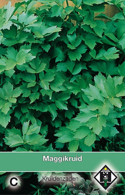 2 stuks Lavas, Maggikruid LevisticumVan Hemert & Co