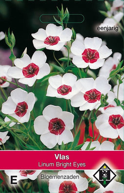 2 stuks Linum grandiflorum Bright EyesVan Hemert & Co