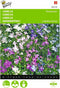 2 stuks Lobelia Parelsnoer gemengd