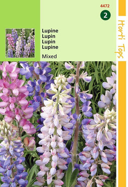 2 stuks Lupinus Hartwegii Kleurenmengsel