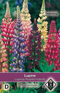 2 stuks Lupinus polyphyllus Russell MixVan Hemert & Co