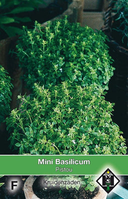 2 stuks Mini basilicumVan Hemert & Co