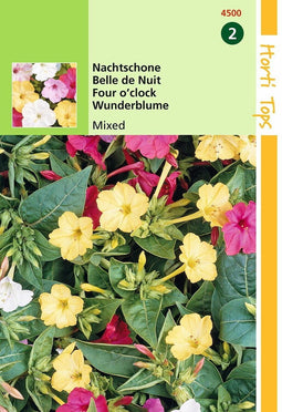 2 stuks Mirabilis Jalapa Gemengd