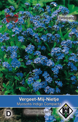 2 stuks Myosotis sylvatica Indigo CompactaVan Hemert & Co
