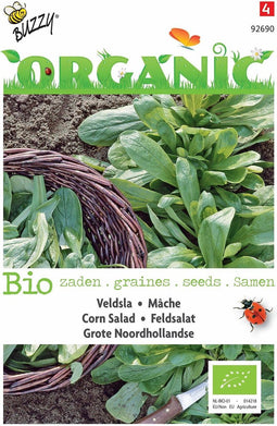 2 stuks Organic Veldsla Grote Noordhollandse (Skal 14725)